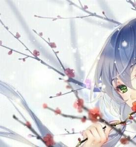 我有一朵永不凋谢的玫瑰