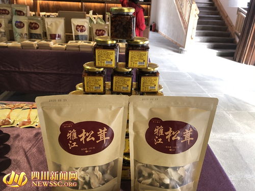 密林中小精灵引路，甘孜雅江绽放脱贫新花果